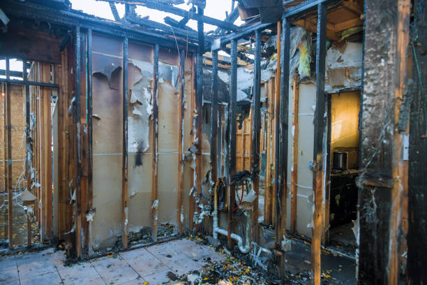 Professional Fire Damage Removal technician working in South Congaree, SC